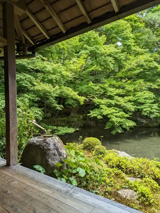 蓮華寺(洛北蓮華寺)(京都府)