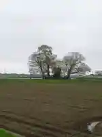 神明神社(千葉県)