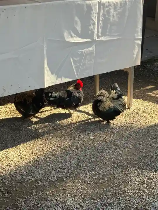 大崎八幡宮(宮城県)