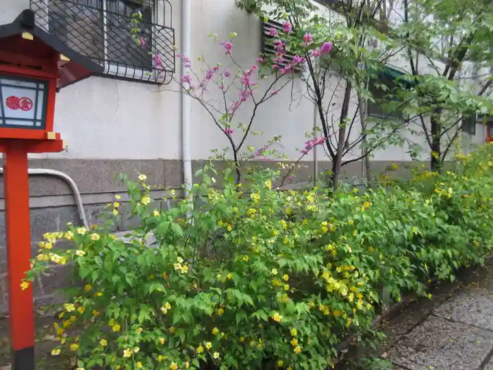 安井金比羅宮(京都府)