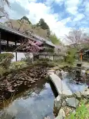 十輪寺の庭園