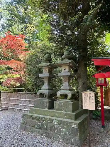 岩槻久伊豆神社(埼玉県)