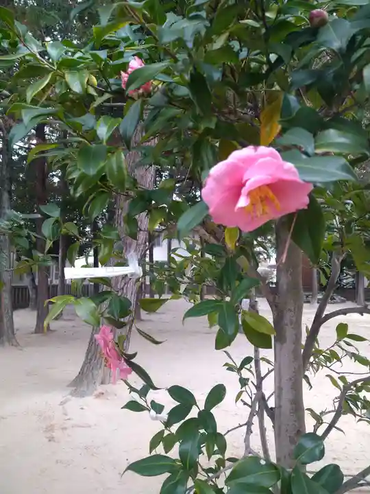 春日神社の自然