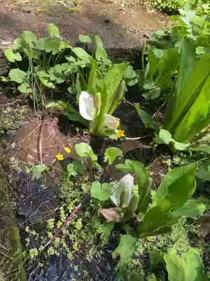 青龍山 吉祥寺(群馬県)