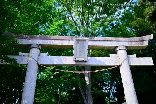指扇氷川神社(埼玉県)
