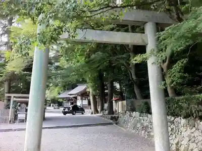 椿大神社の鳥居