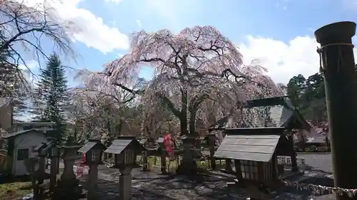 南湖神社の自然