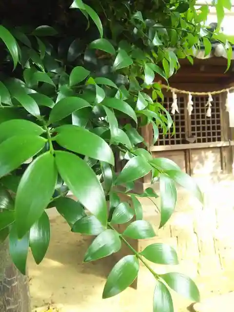 津島神社の建物その他