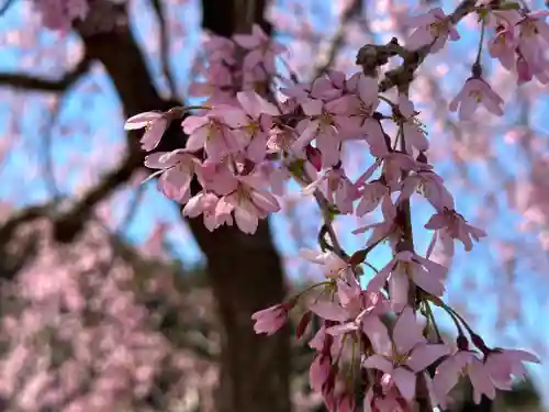 冷松寺(宮城県)