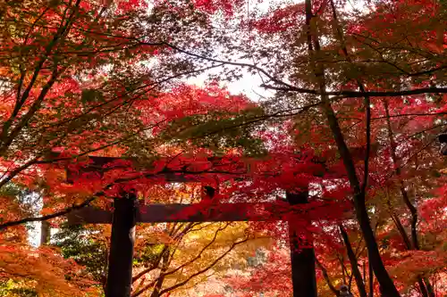 大原野神社(京都府)