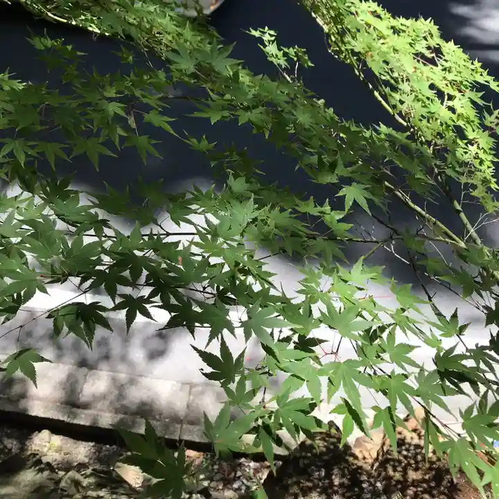 貴船神社の自然