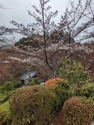 善峯寺(京都府)