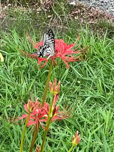 横浜　西方寺(神奈川県)