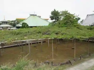 善養寺(東京都)