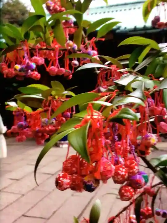 赤坂氷川神社(東京都)