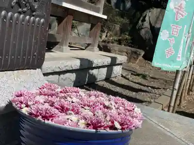 徳星寺(埼玉県)