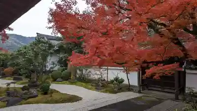 真正極楽寺(真如堂)(京都府)