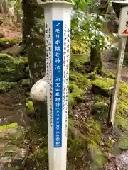 若狭彦神社（上社）の建物その他