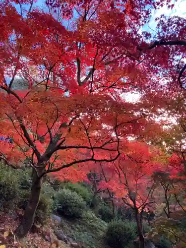 東福禅寺（東福寺）(京都府)