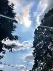 手力雄神社の自然