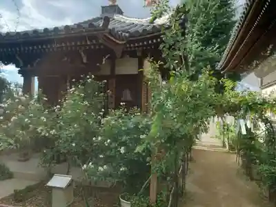おふさ観音（観音寺）(奈良県)