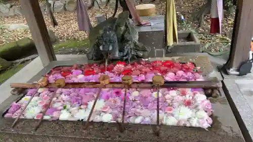 清洲山王宮　日吉神社の{uncategorized: "未分類", other: "その他", undefined: "問題あり", building: "その他建物", grave: "お墓", sacred_gate: "鳥居", guardian: "狛犬", statue: "像", buddha: "仏像", history: "歴史", nature: "自然", garden: "庭園", animal: "動物", pagoda: "塔", temizu: "手水舎", mountain_gate: "山門・神門", sanctuary: "本殿・本堂", subordinate: "末社・摂社", art: "芸術", scenery: "景色", jizo: "地蔵", ema: "絵馬", goshuin: "御朱印", omikuji: "おみくじ", items: "授与品その他", amulet: "お守り", goshuincho: "御朱印帳", eats: "食事", festival: "お祭り", votive_dance: "神楽", shichigosan: "七五三参", wedding: "結婚式", experience: "体験その他", initially: "初詣", around: "周辺", anti_infection: "感染症対策"}