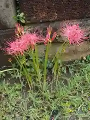 正行院(神奈川県)