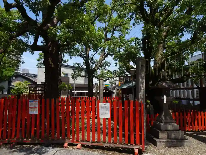 鶴見神社の自然