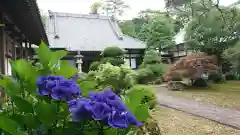 安養寺の自然