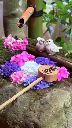 柳谷観音　楊谷寺(京都府)