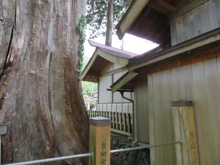 旗挙八幡宮の本殿・本堂