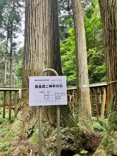 黄金山神社(宮城県)