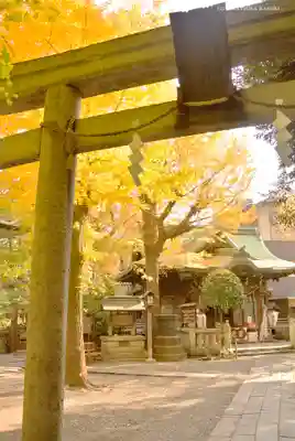 小野照崎神社の鳥居