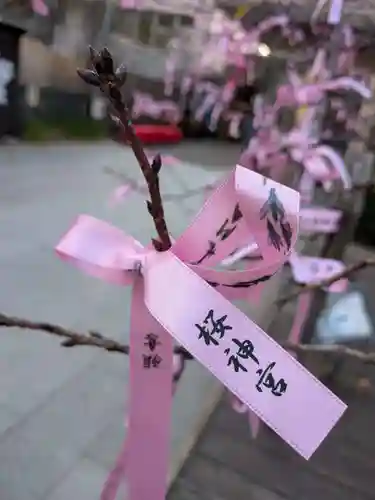 桜神宮(東京都)