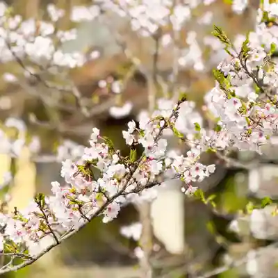 伊勢の国 四天王寺(三重県)