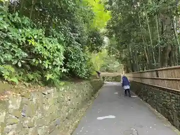 金毛院(京都府)