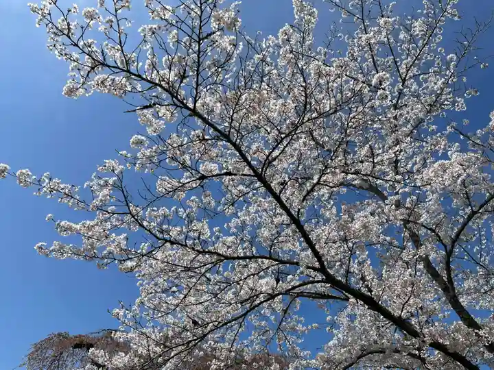 宝聚院(京都府)