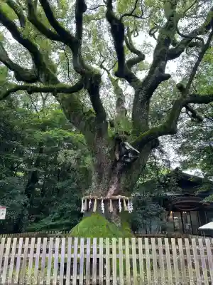 熱田神宮(愛知県)