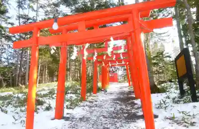 阿寒湖稲荷神社の鳥居