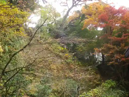 東慶寺の景色