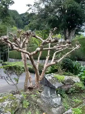 大室山龍渓院(静岡県)