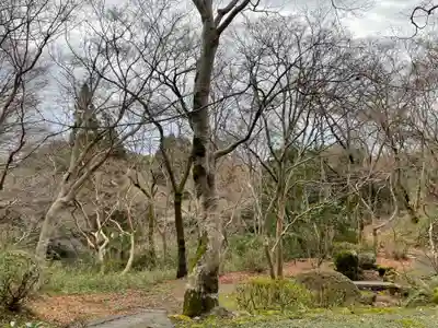 勝持寺（花の寺）(京都府)
