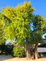 老松神社(福岡県)