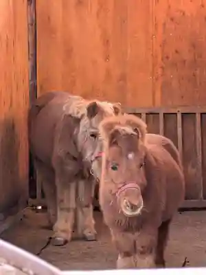 五方山熊野神社(東京都)
