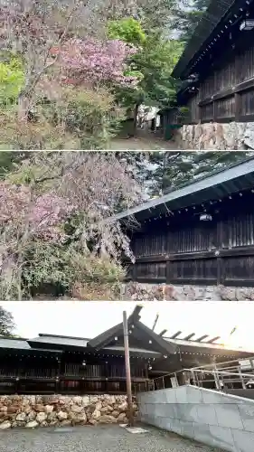 北海道神宮の自然