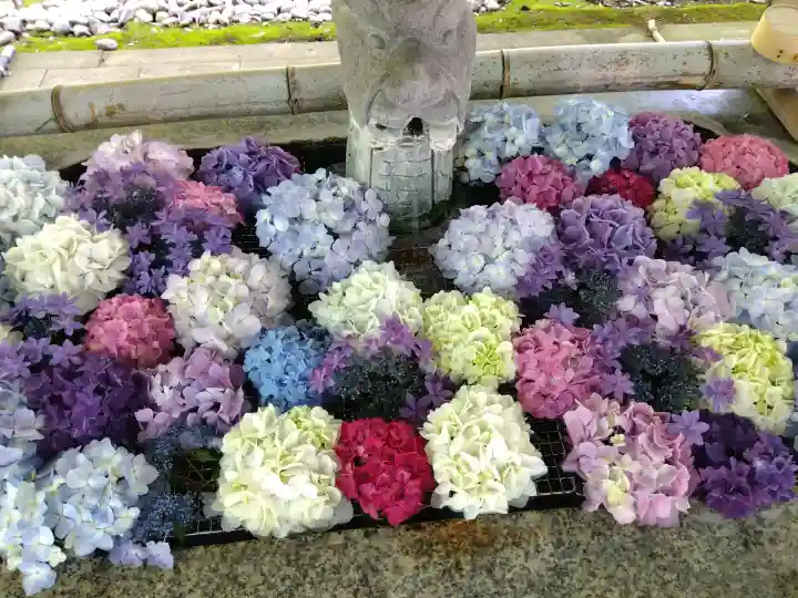 足羽神社(福井県)