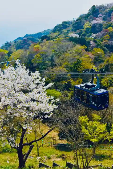 久能山東照宮の{uncategorized: "未分類", other: "その他", undefined: "問題あり", building: "その他建物", grave: "お墓", sacred_gate: "鳥居", guardian: "狛犬", statue: "像", buddha: "仏像", history: "歴史", nature: "自然", garden: "庭園", animal: "動物", pagoda: "塔", temizu: "手水舎", mountain_gate: "山門・神門", sanctuary: "本殿・本堂", subordinate: "末社・摂社", art: "芸術", scenery: "景色", jizo: "地蔵", ema: "絵馬", goshuin: "御朱印", omikuji: "おみくじ", items: "授与品その他", amulet: "お守り", goshuincho: "御朱印帳", eats: "食事", festival: "お祭り", votive_dance: "神楽", shichigosan: "七五三参", wedding: "結婚式", experience: "体験その他", initially: "初詣", around: "周辺", anti_infection: "感染症対策"}