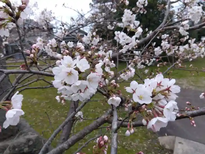 日吉神社(福井県)