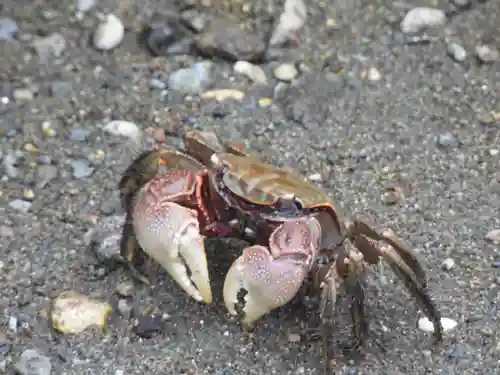 了仙寺(静岡県)