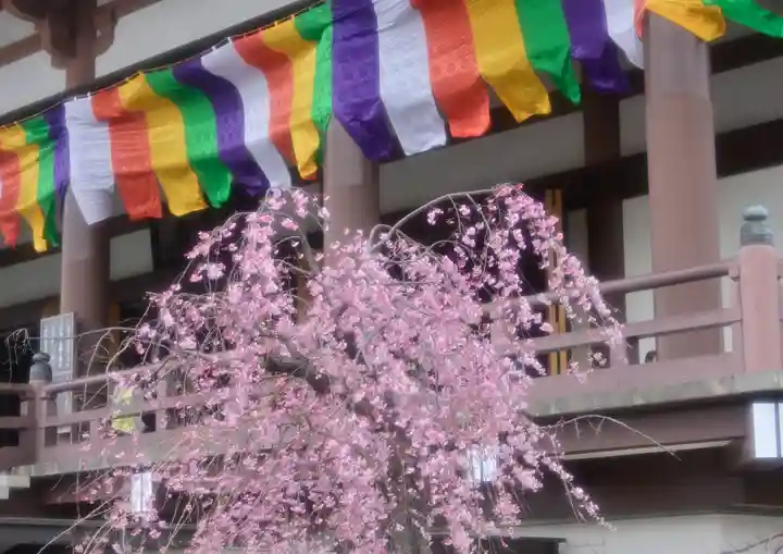 西新井大師総持寺の自然